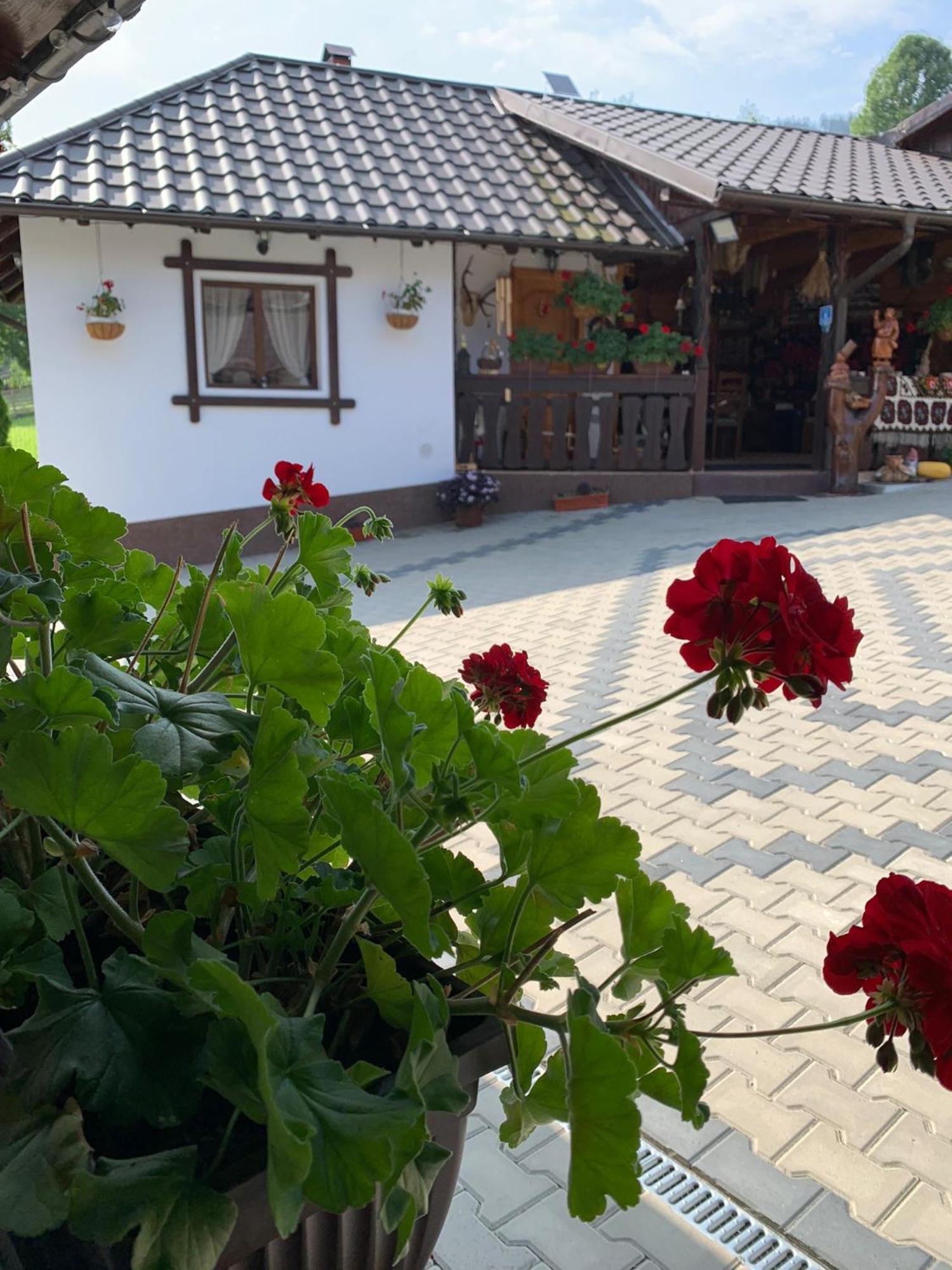 Casa De Pe Deal Садова Екстериор снимка